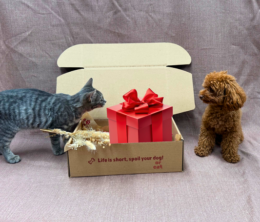 Cadeaupakket voor katten