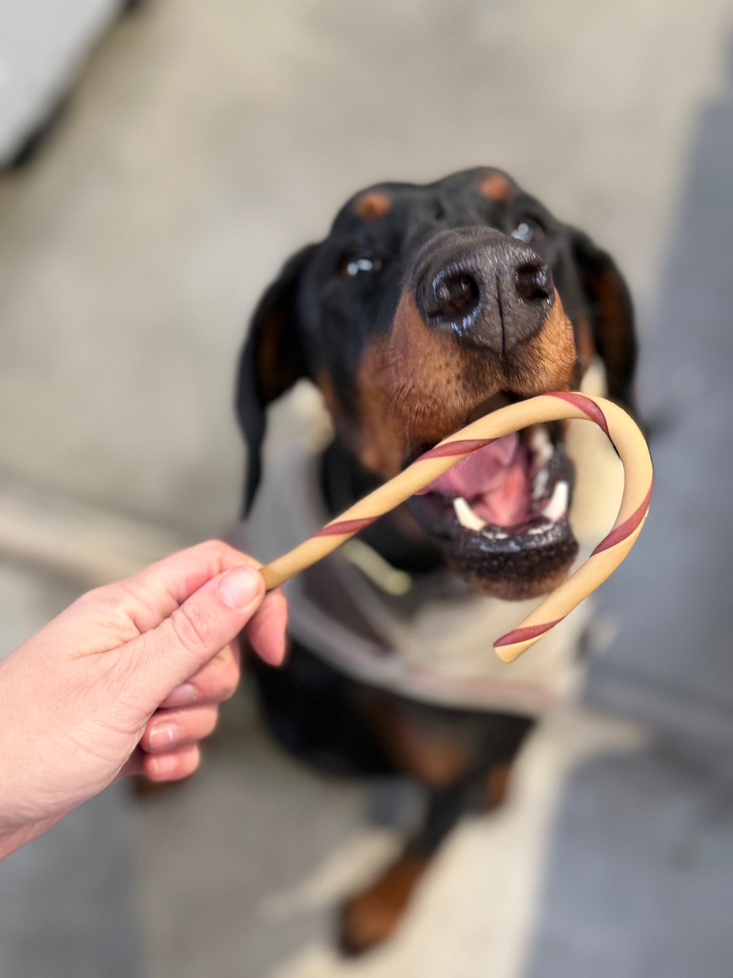 Kerstsuikerstok (zonder suiker ;-) )