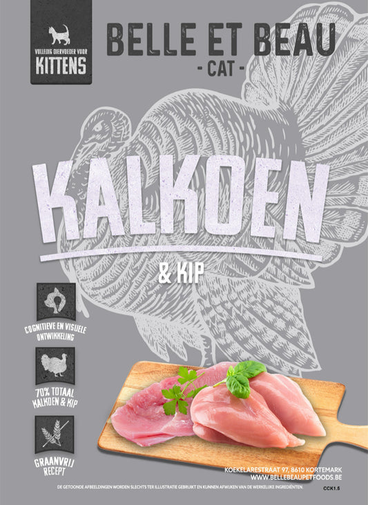 KALKOEN MET KIP - KITTEN