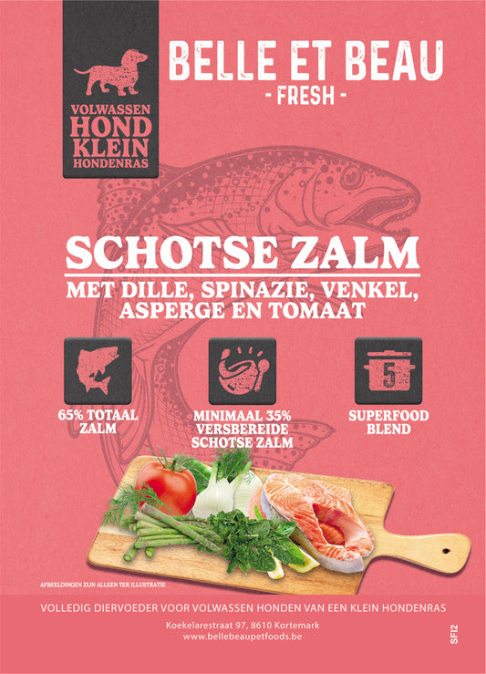 SCHOTSE ZALM MET DILLE, SPINZAIE, VENKEL, ASPERGE EN TOMAAT