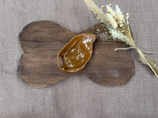 Vegetarisch varkensoor voor honden