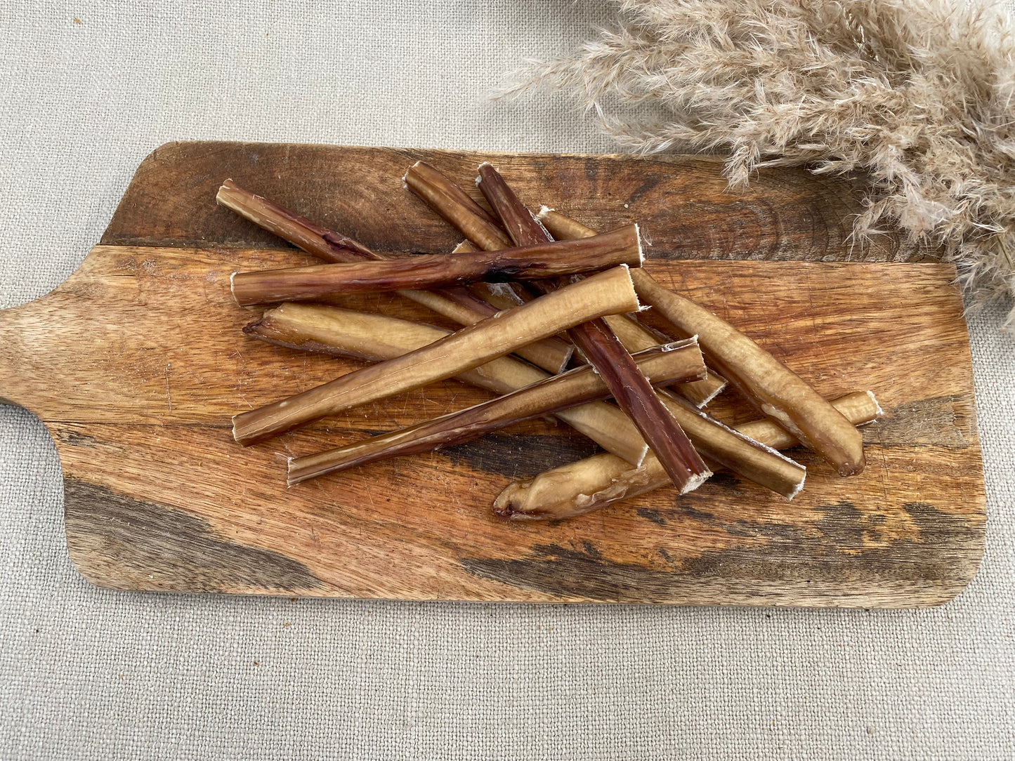 Tendon du mollet