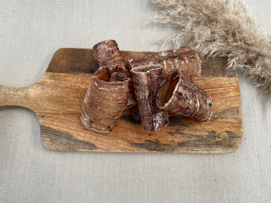 Runderluchtpijp kort