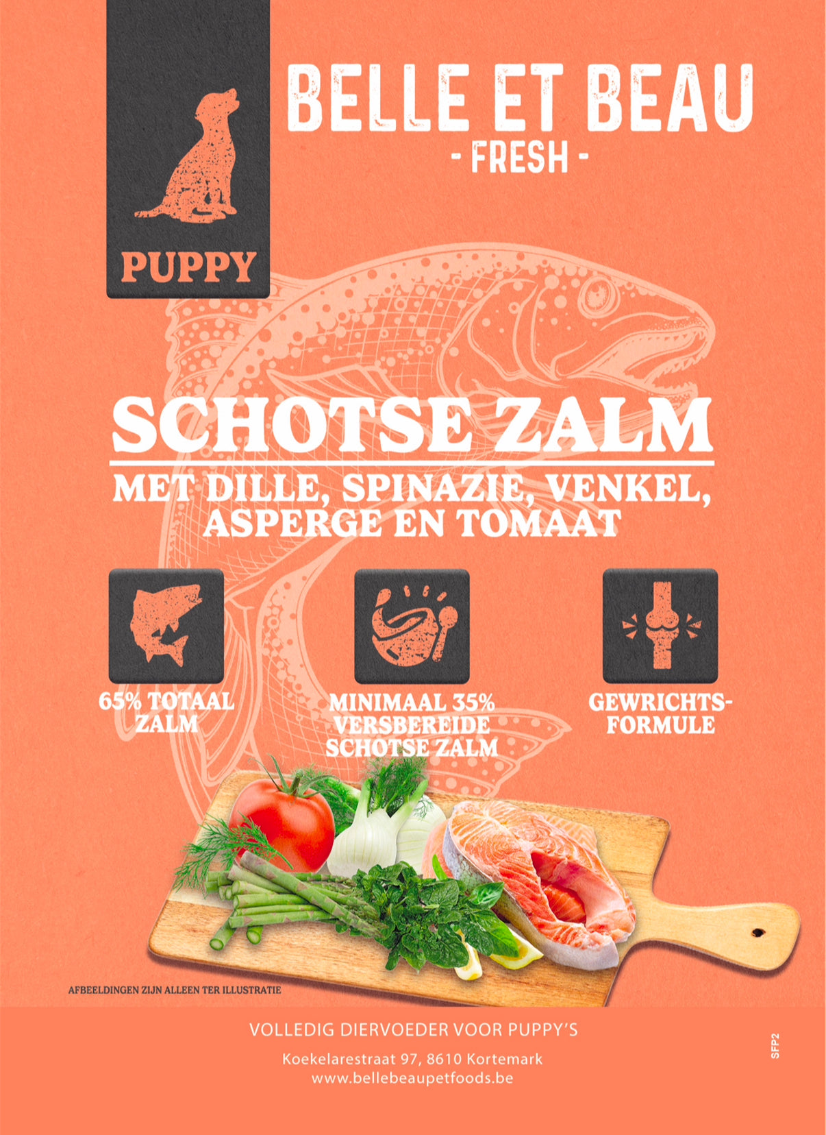 SCHOTSE ZALM MET DILLE, SPINAZIE,VENKEL,  ASPERGES EN TOMAAT